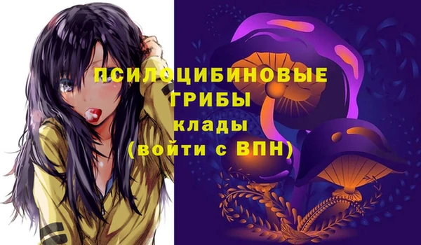 кокс Абаза