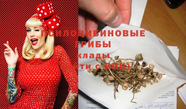 наркотики Няндома